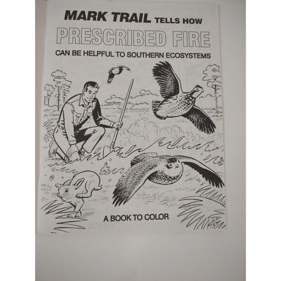 Vtg Smoky Bear Coloring Book Forest Service Mark Trail Prescribed Fire Safety - Picture 2 of 4